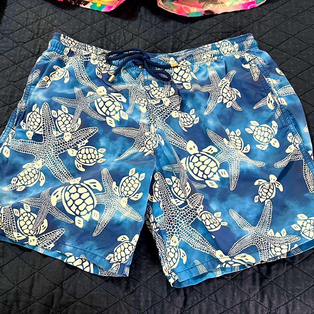 Vileberquin Men’s Baiting Suit blue turtles